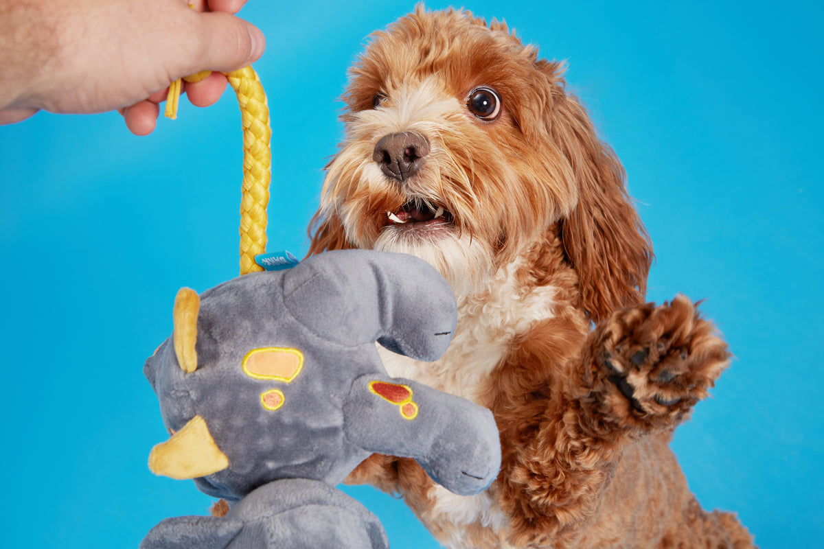 BARK Herbert the Herbivore
