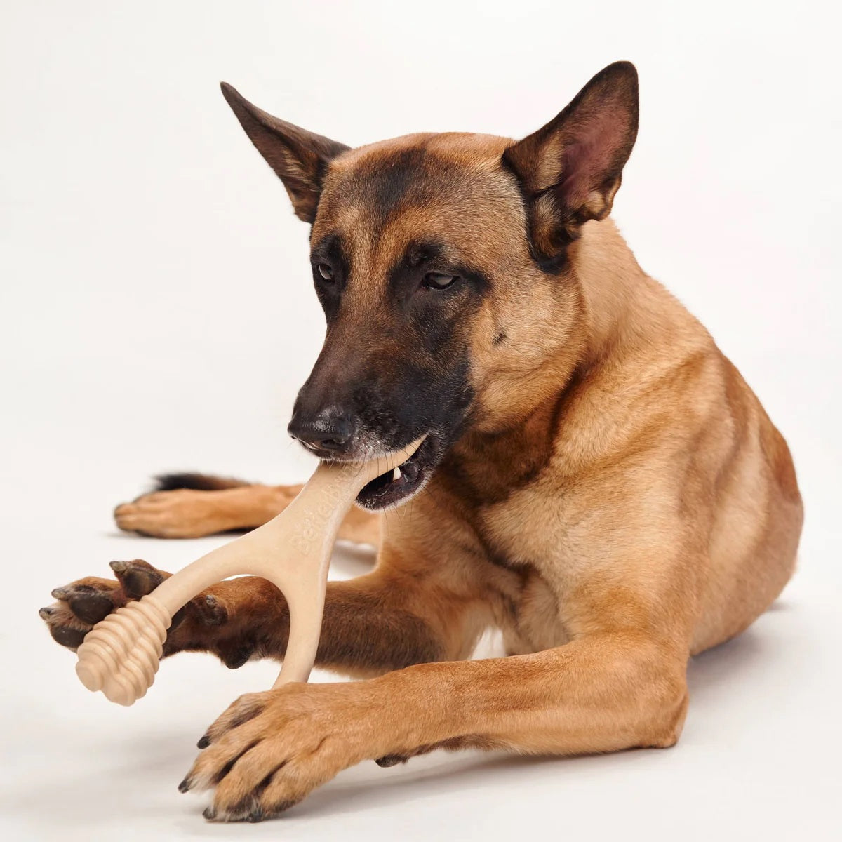 BetterBone Soft Classic Dog Chew Toy Large