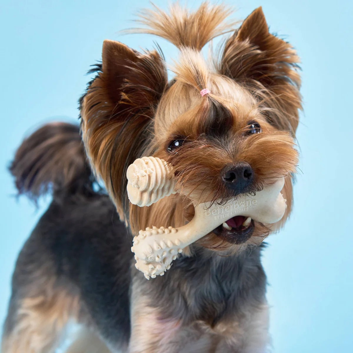 BetterBone Soft Beef Dog Chew Toy Mini