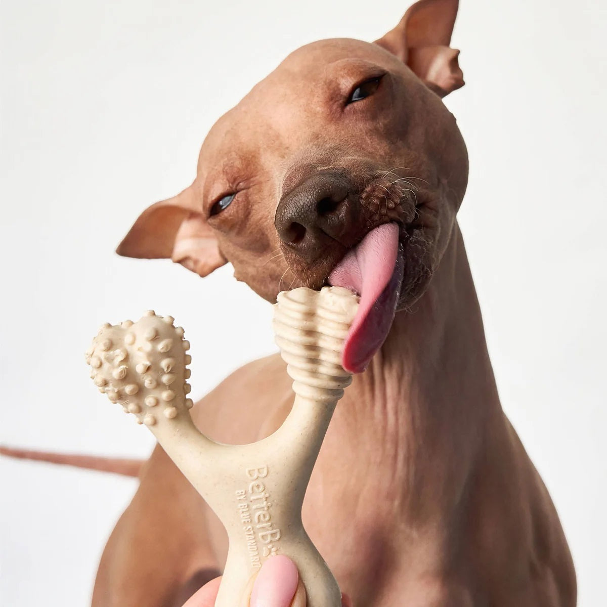 BetterBone Medium Classic Dog Chew Toy Small