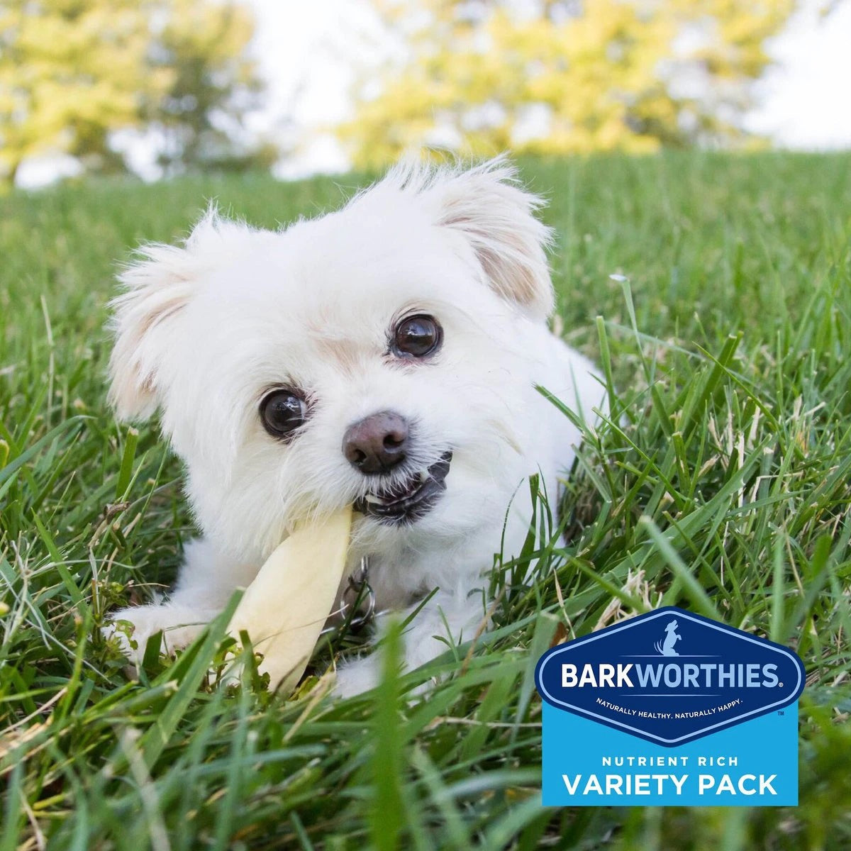 Barkworthies Puppy Variety Pack