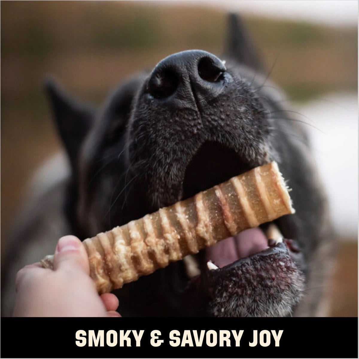 Barkworthies Smoked 6" Trachea 3pk