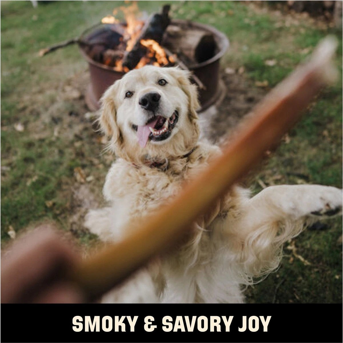 Barkworthies Smoked Bully 6" Thick 3pk