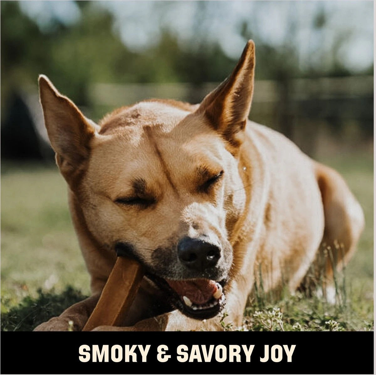 Barkworthies Smoked Yak Cheese - Large 2pk