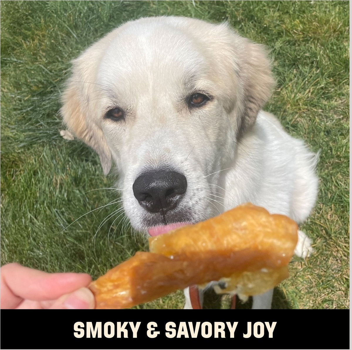 Barkworthies Smoked Chicken Fillet 4oz