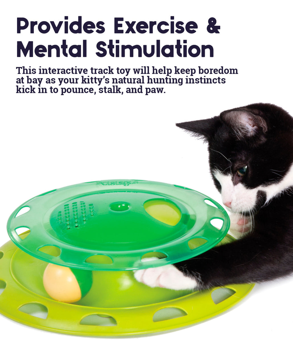 Catstages Catnip Chaser Green Cat Toy