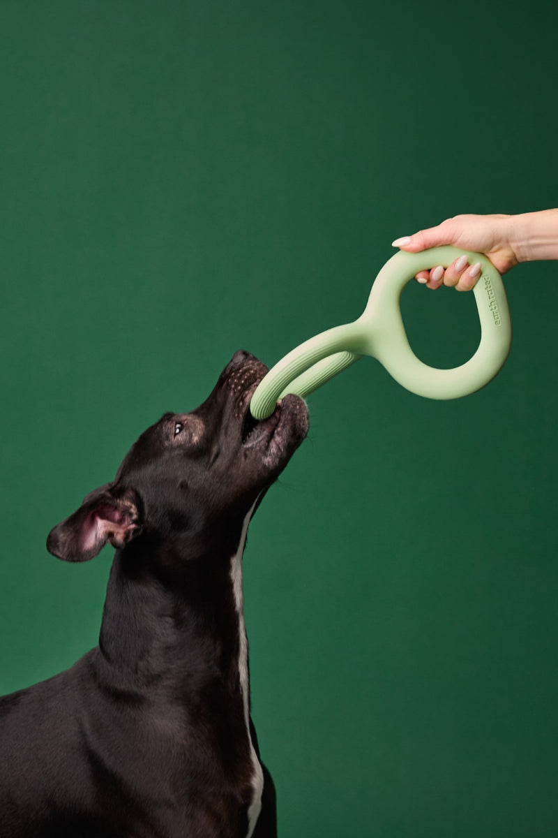 Earth Rated Rubber Tug Dog Toy Green Large