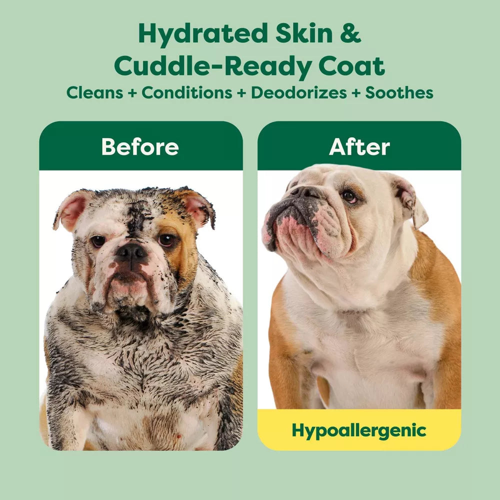 Earth Rated 4 in 1 Hypoallergenic Dog Shampoo Short Coat Soothe 16oz