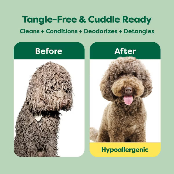 Earth Rated 4-in-1 Detangling Hypoallergenic Dog Shampoo White Tea & Basil Scent 16 fl oz