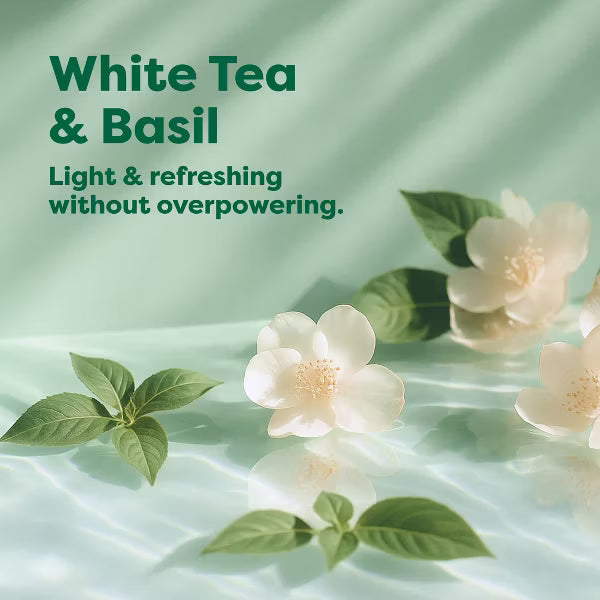 Earth Rated 4-in-1 Detangling Hypoallergenic Dog Shampoo White Tea & Basil Scent 16 fl oz