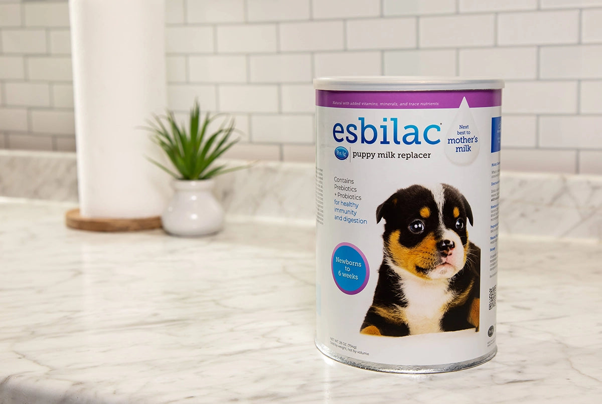 Esbilac Powder, 12 oz.
