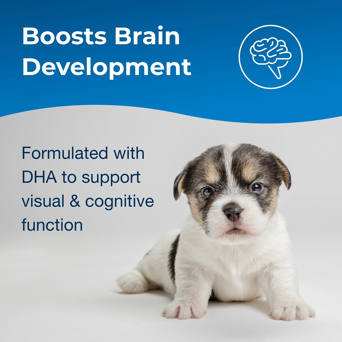 2nd Step Puppy Weaning Food, 14 oz.