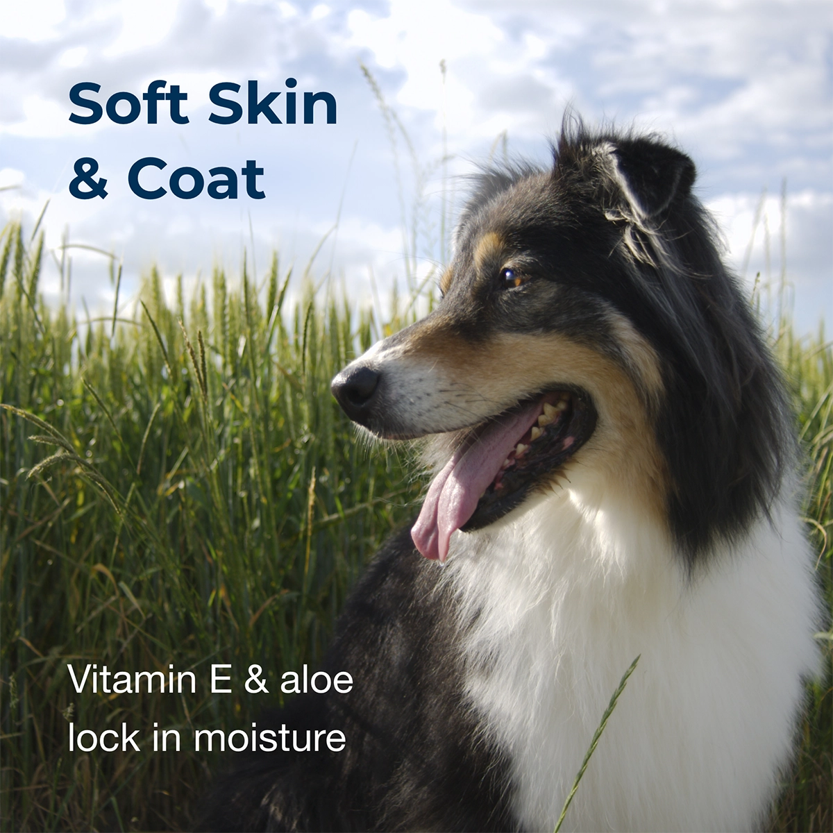 Fresh 'n Clean Scented Shampoo 15:1 Concentrate, Crisp Linen