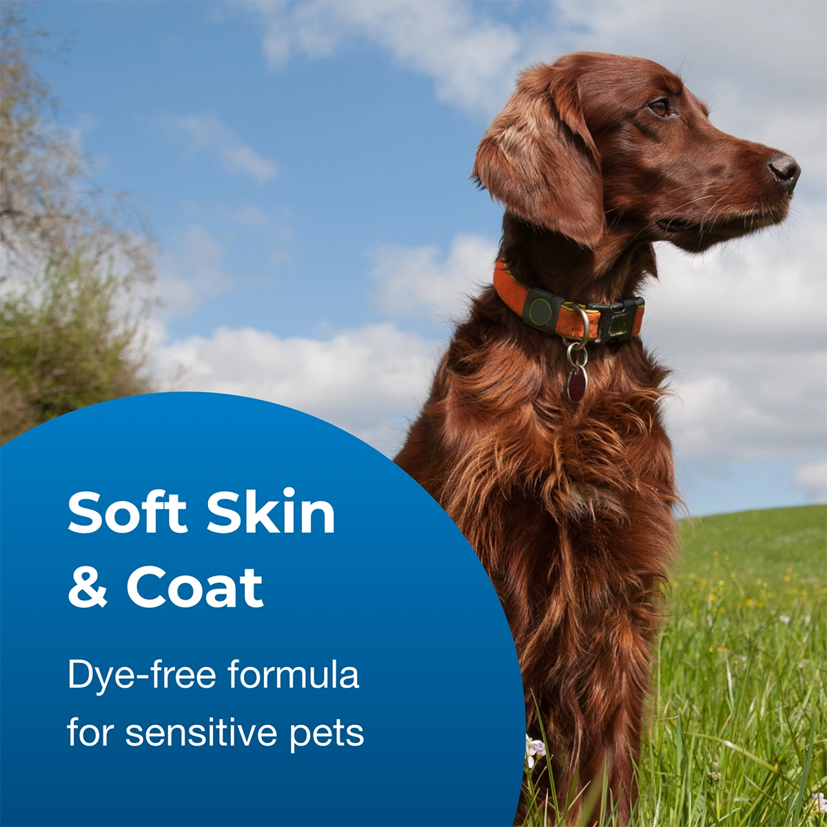 Fresh 'n Clean 2-in-1 Conditioning Shampoo, Baby Powder Scent, 18 oz.