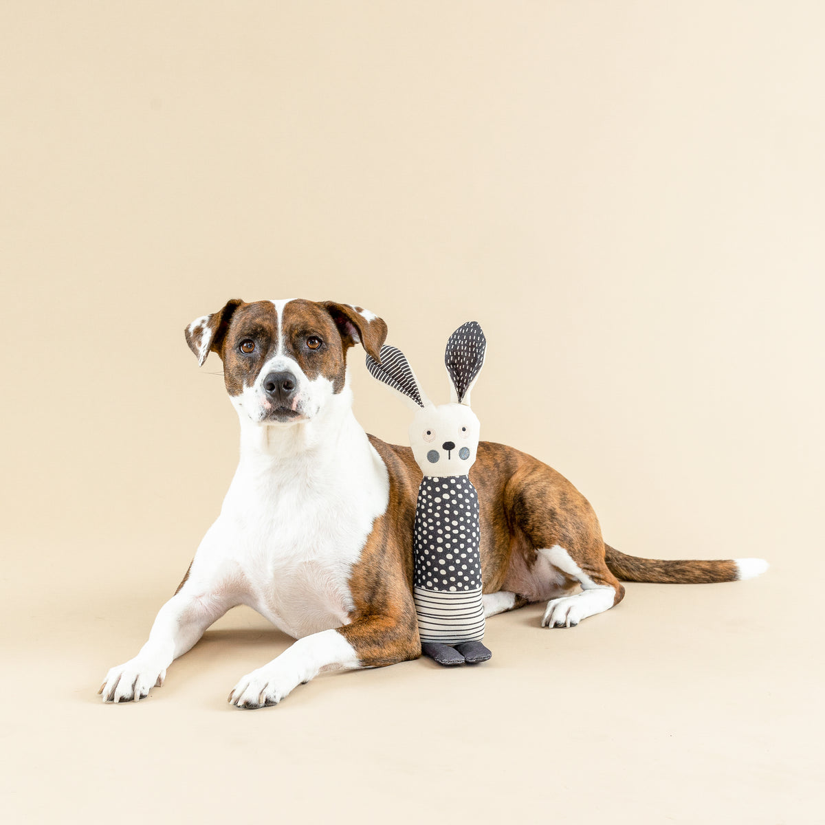 PetShop by Fringe Studio All Ears Canvas Dog Toy