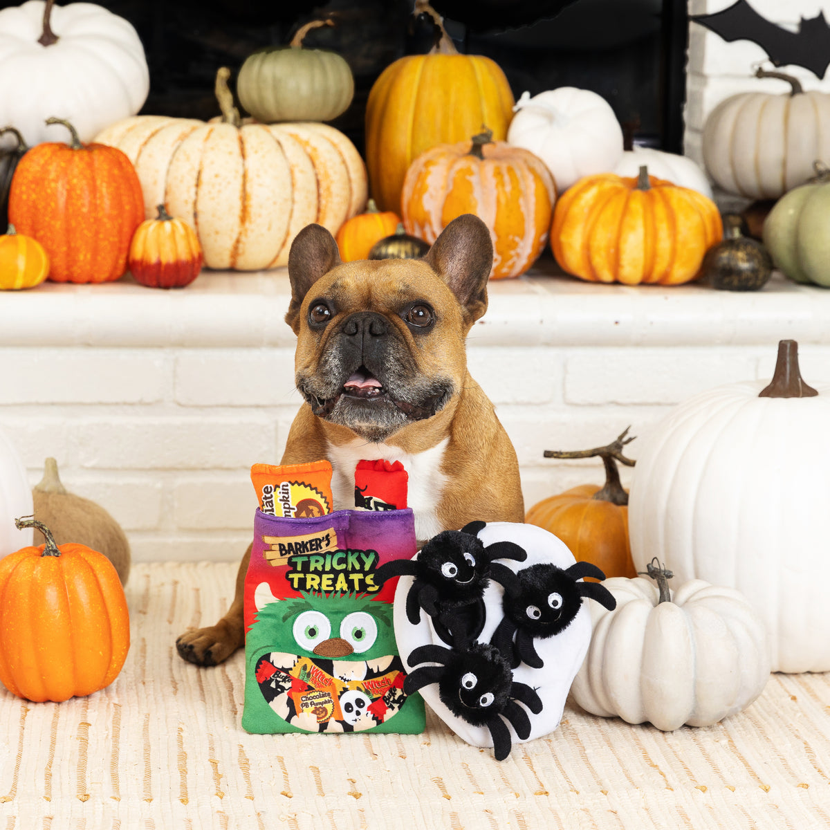 PetShop by Fringe Studio Skull With Spiders Hide & Seek Plush Dog Toy