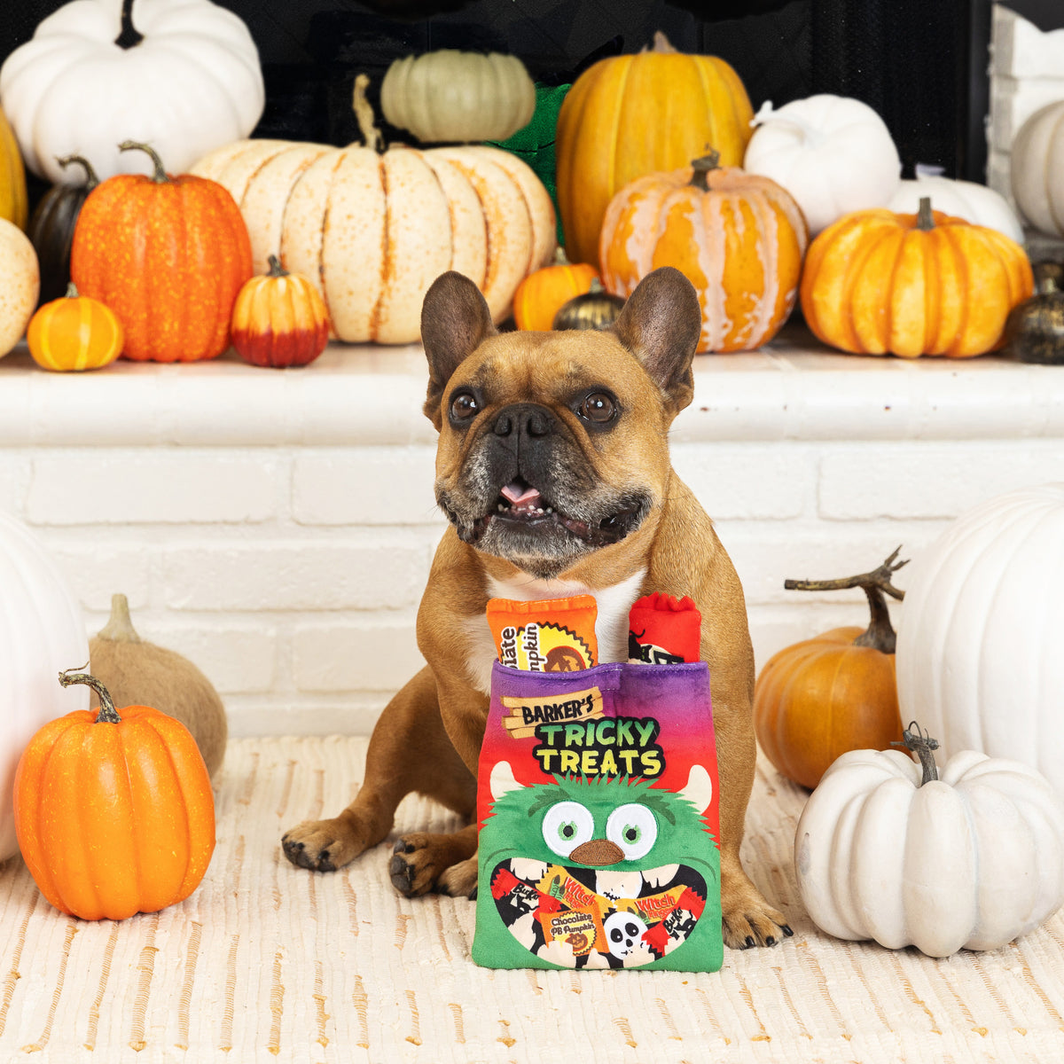 PetShop by Fringe Studio Tricky Treats Hide Seek Plush Dog Toy