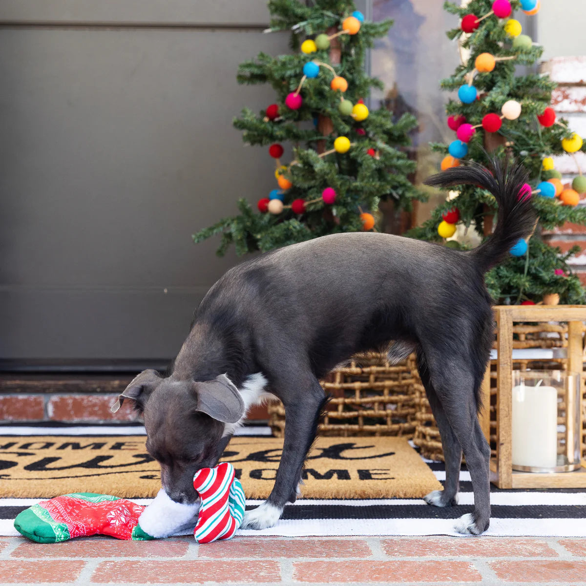 PetShop by Fringe Studio Merry Woofmas Hide & Seek Plush Dog Toy