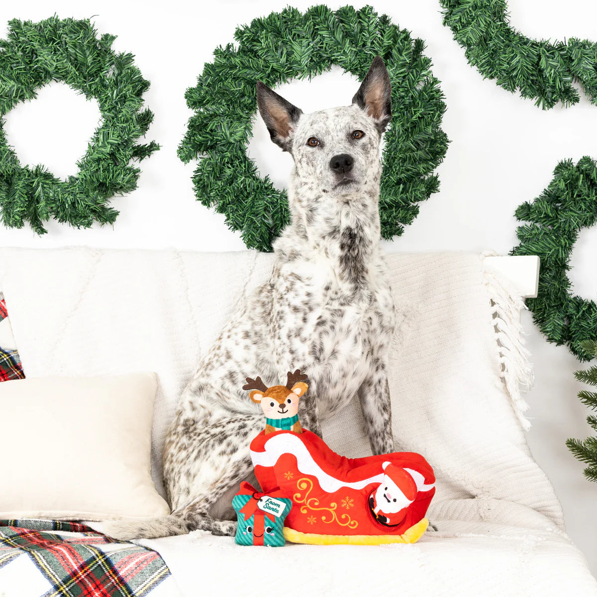 PetShop by Fringe Studio Hold On For Deer Life Hide & Seek Plush Dog Toy