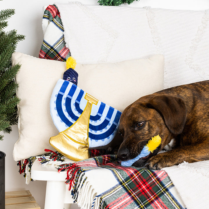 PetShop by Fringe Studio A Lit Hanukkah Hide & Seek Plush Dog Toy