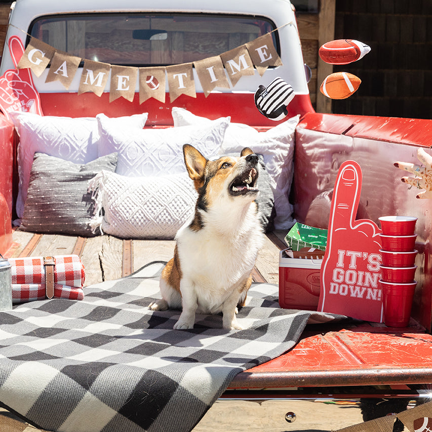 PetShop by Fringe Studio Whole 9 Yards Small Dog Toy Set 3pc