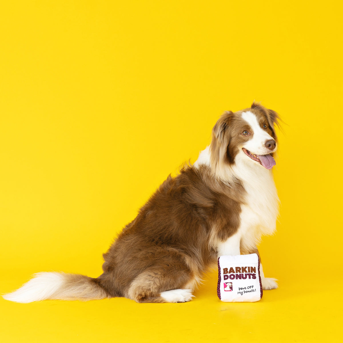 Wagsdale Barkin Donuts Donut Bag Dog Toy