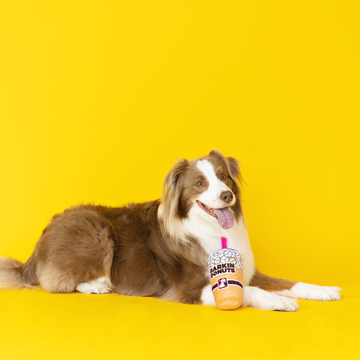 Wagsdale Barkin Donuts Iced Coffee Dog Toy
