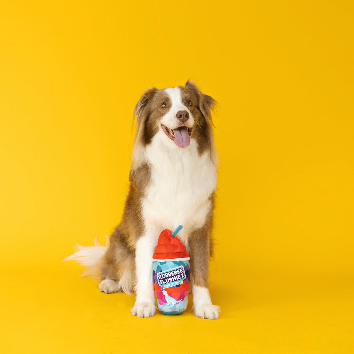 Wagsdale Slobberee Slushiez Plush Dog Toy