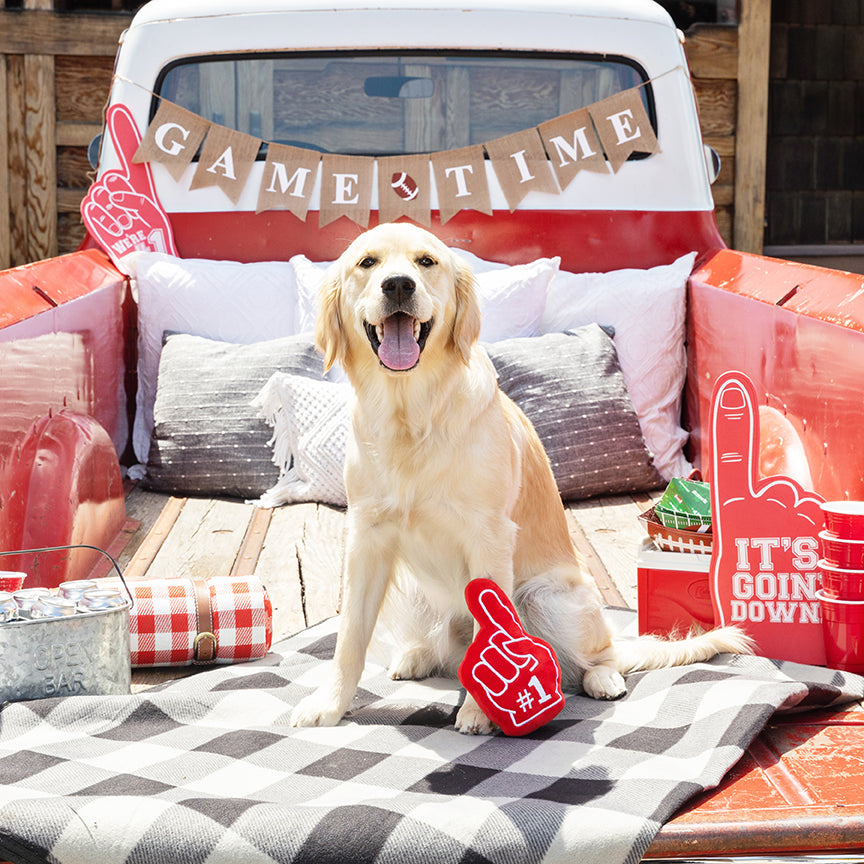 PetShop by Fringe Studio #1 Fan Plush Dog Toy