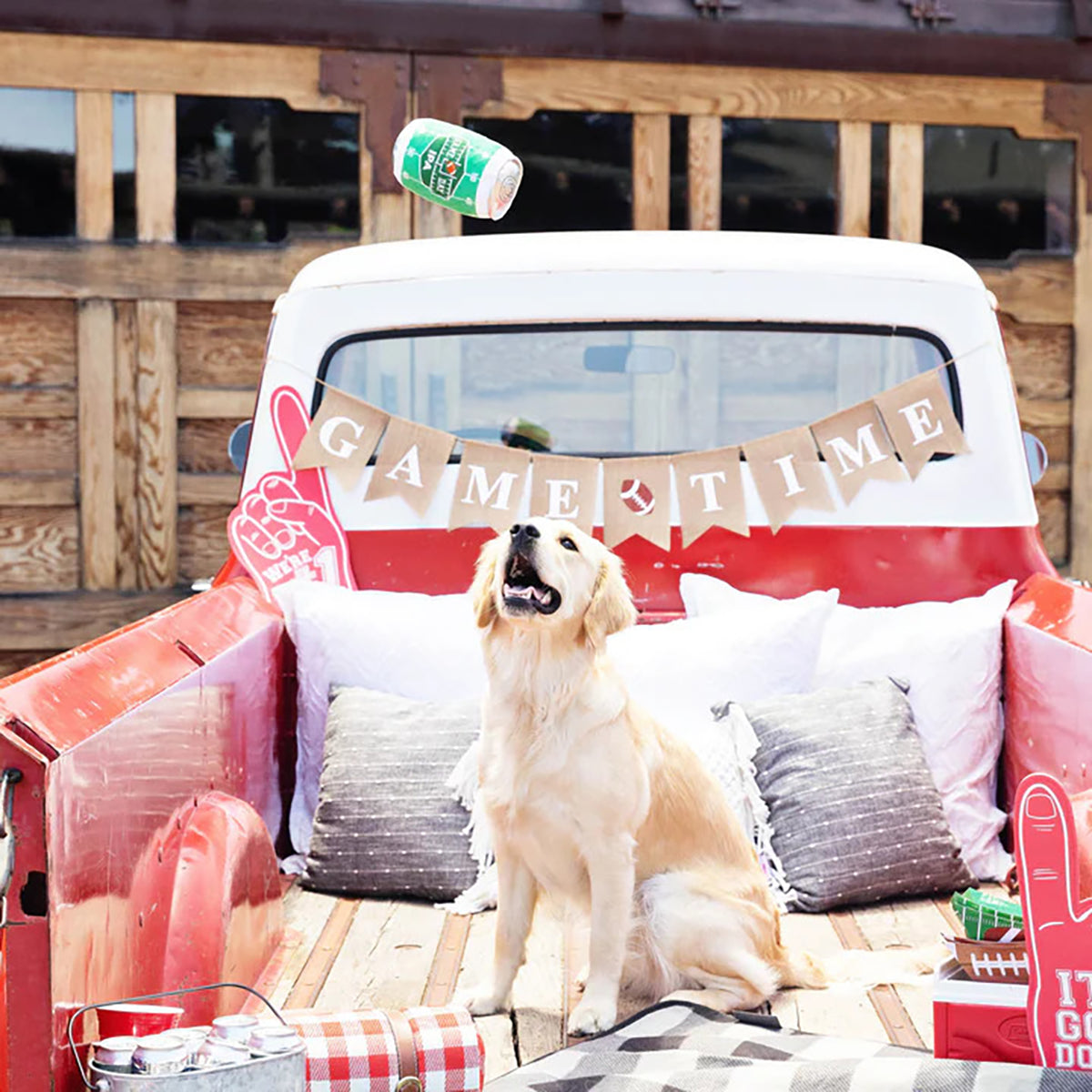 PetShop by Fringe Studio Game Day IPA Plush Dog Toy