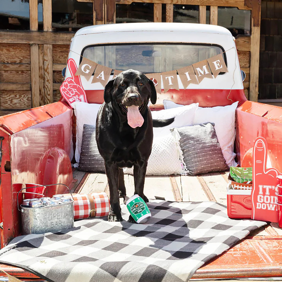 PetShop by Fringe Studio Game Day IPA Plush Dog Toy