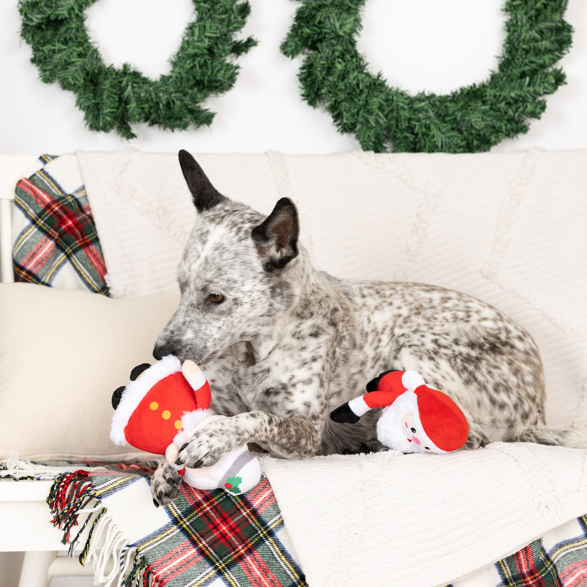 PetShop by Fringe Studio Mr. & Mrs. Santa Paws Plush Dog Toy Set 2pc