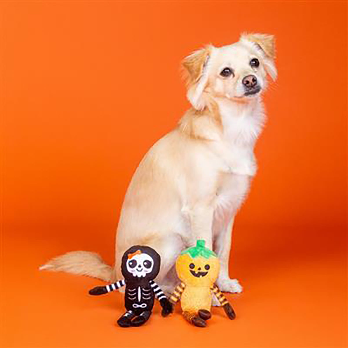 PetShop by Fringe Studio Oh My Gourd Plush Dog Toy