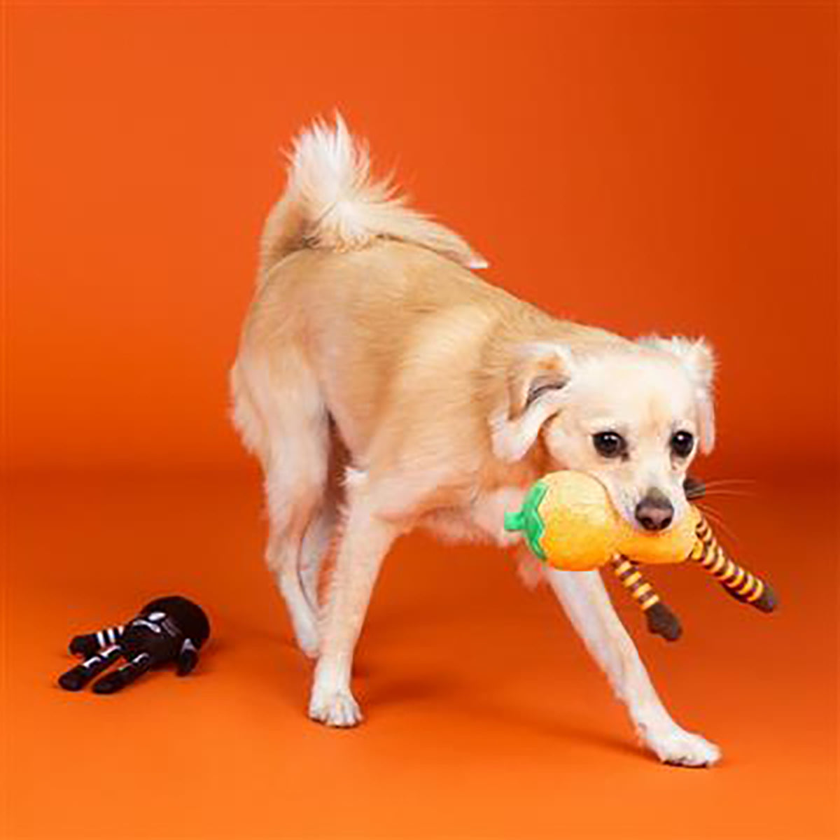 PetShop by Fringe Studio Oh My Gourd Plush Dog Toy