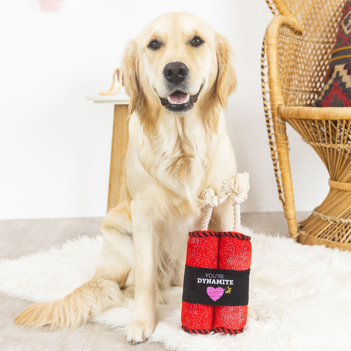 PetShop by Fringe Studio Youre Dynamite Plush Dog Toy