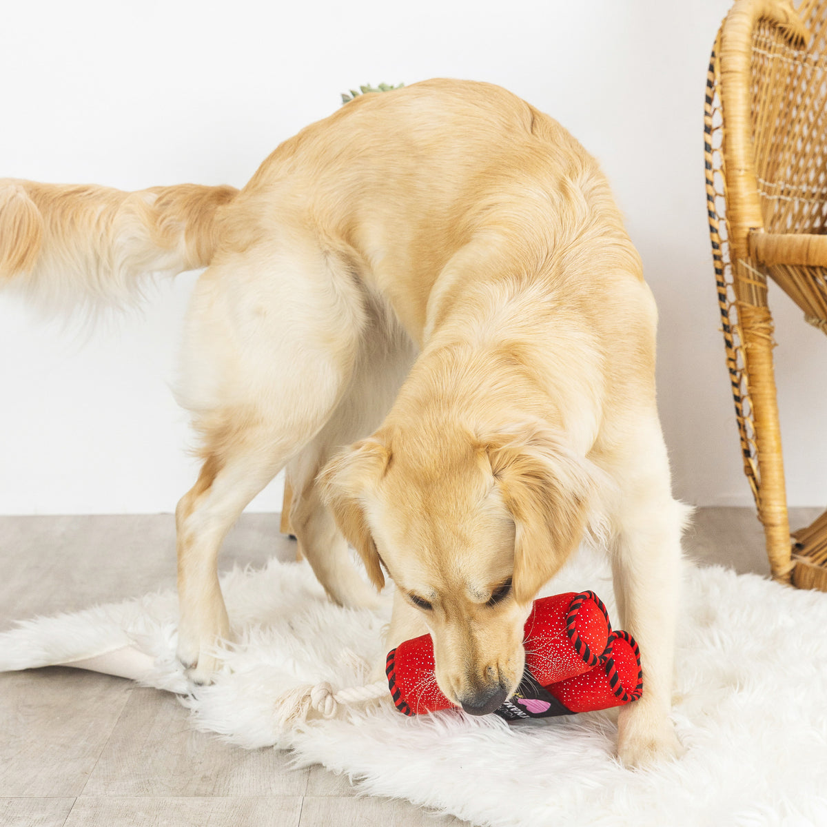 PetShop by Fringe Studio Youre Dynamite Plush Dog Toy