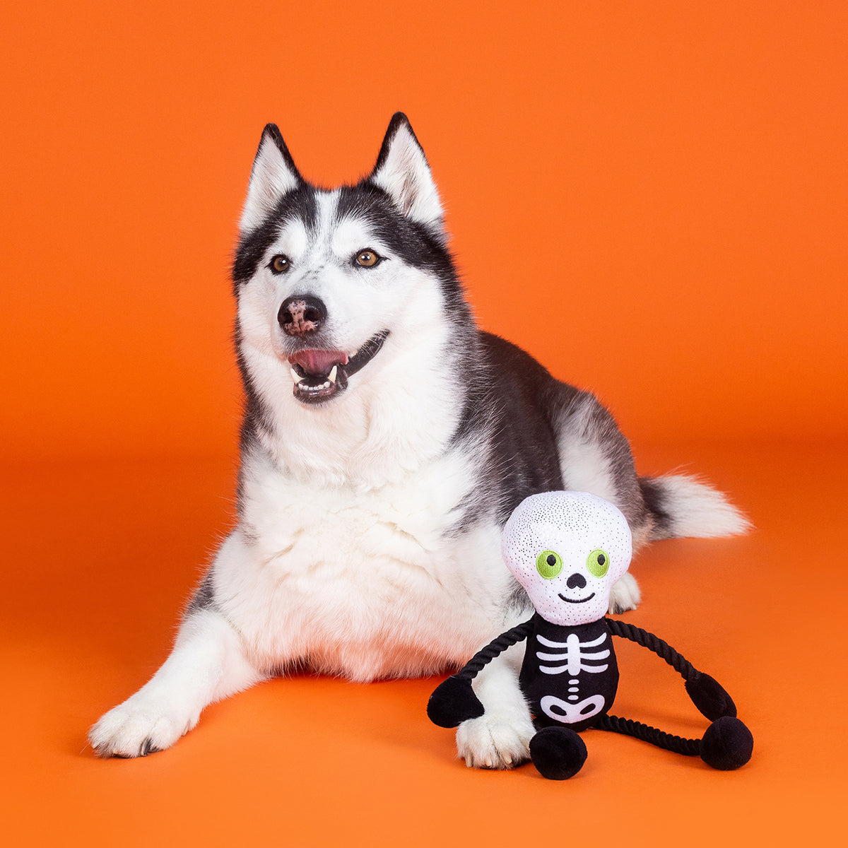 PetShop by Fringe Studio Got A Bone To Pick Plush Dog Toy