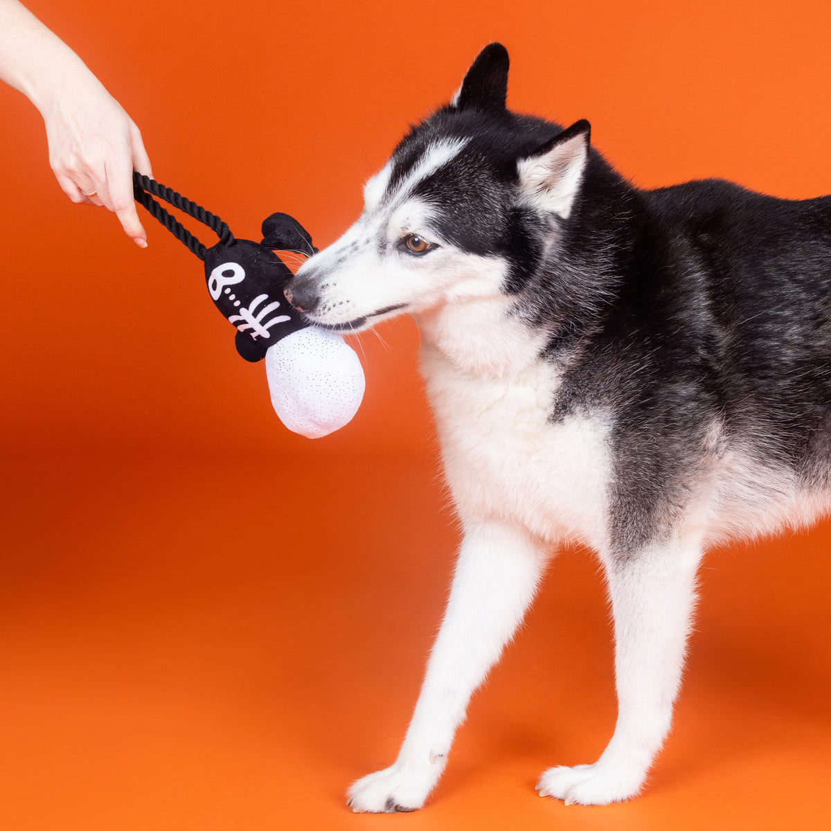 PetShop by Fringe Studio Got A Bone To Pick Plush Dog Toy
