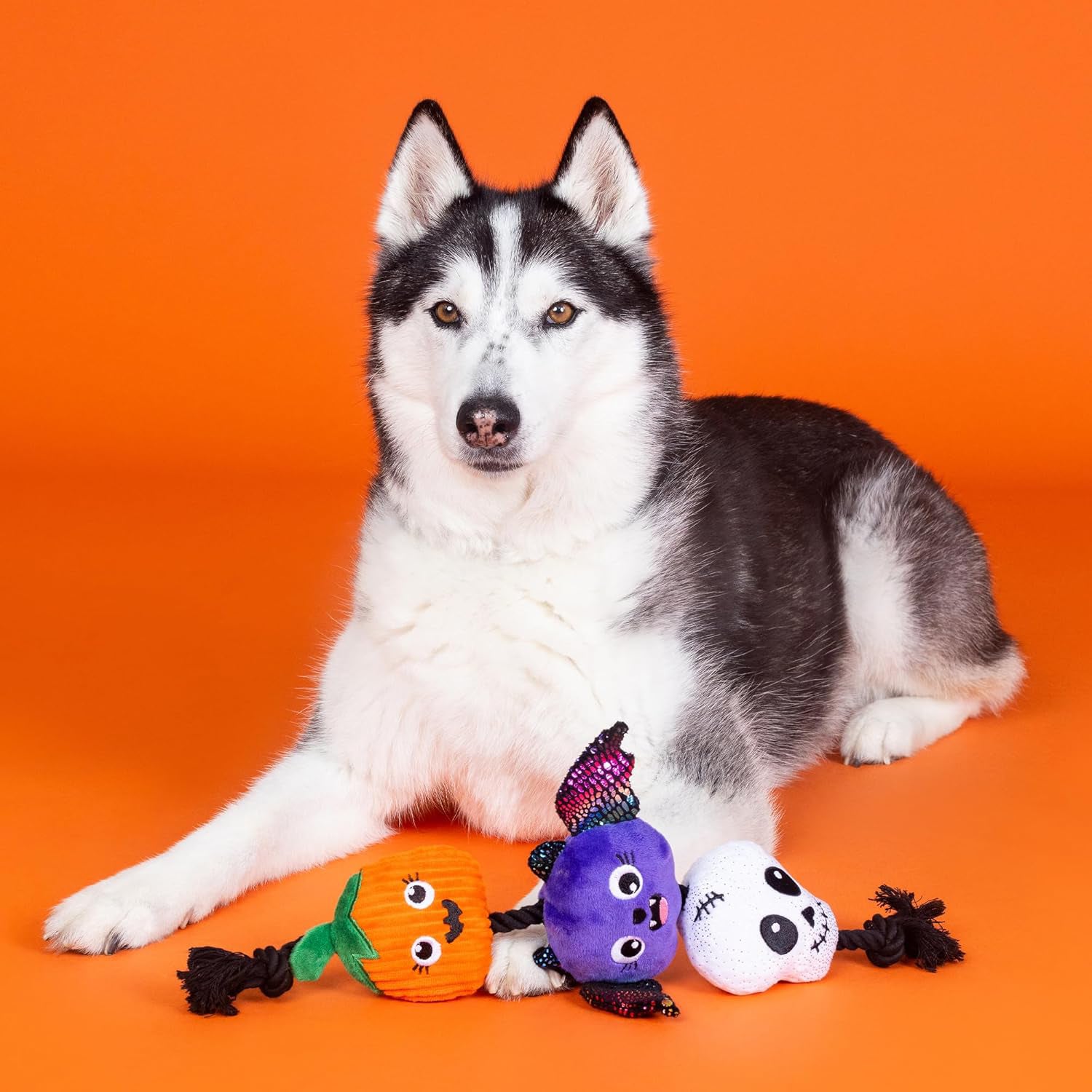 PetShop by Fringe Studio Literally Dead Cute Plush Dog Toy