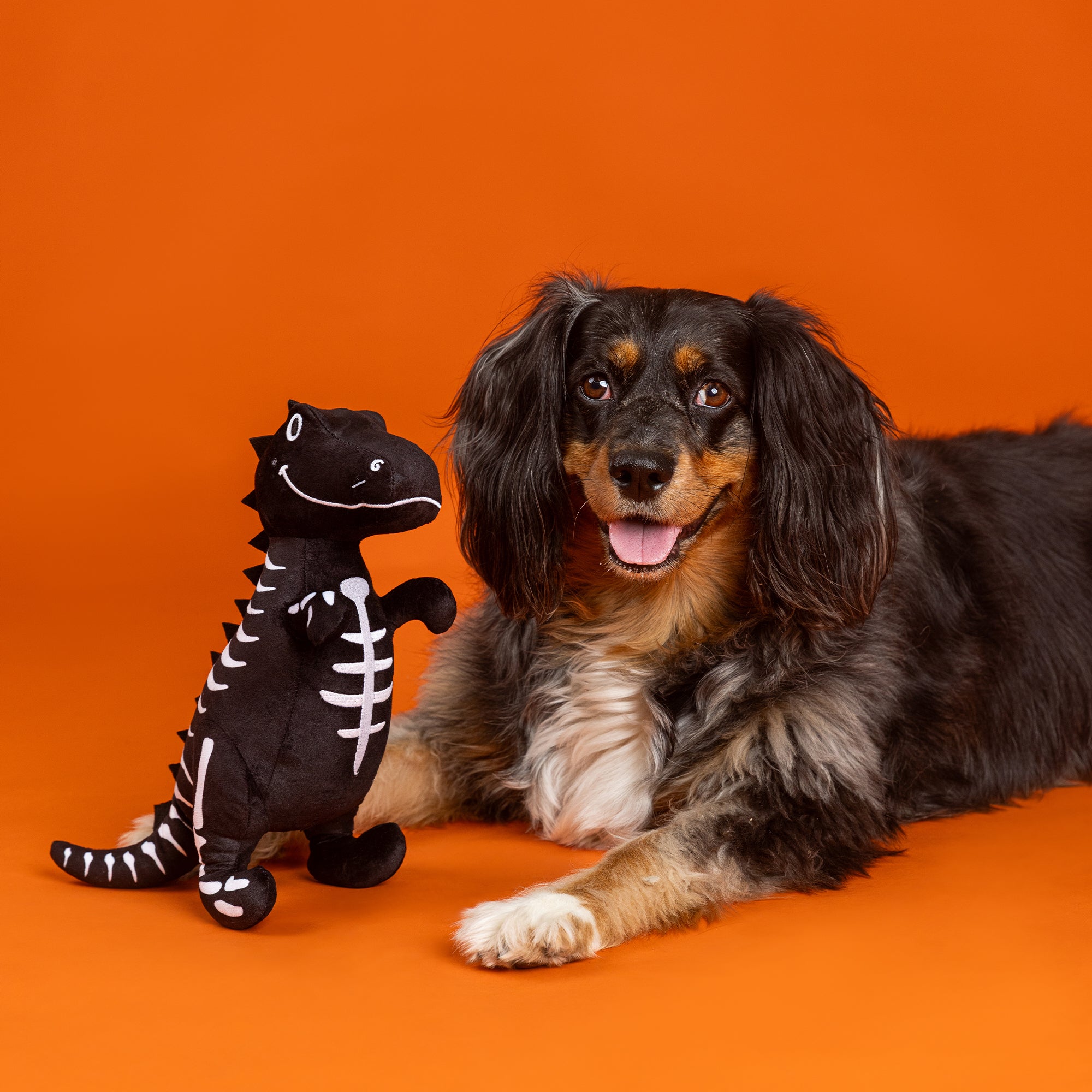 PetShop by Fringe Studio Trick Rawr Treat Plush Dog Toy