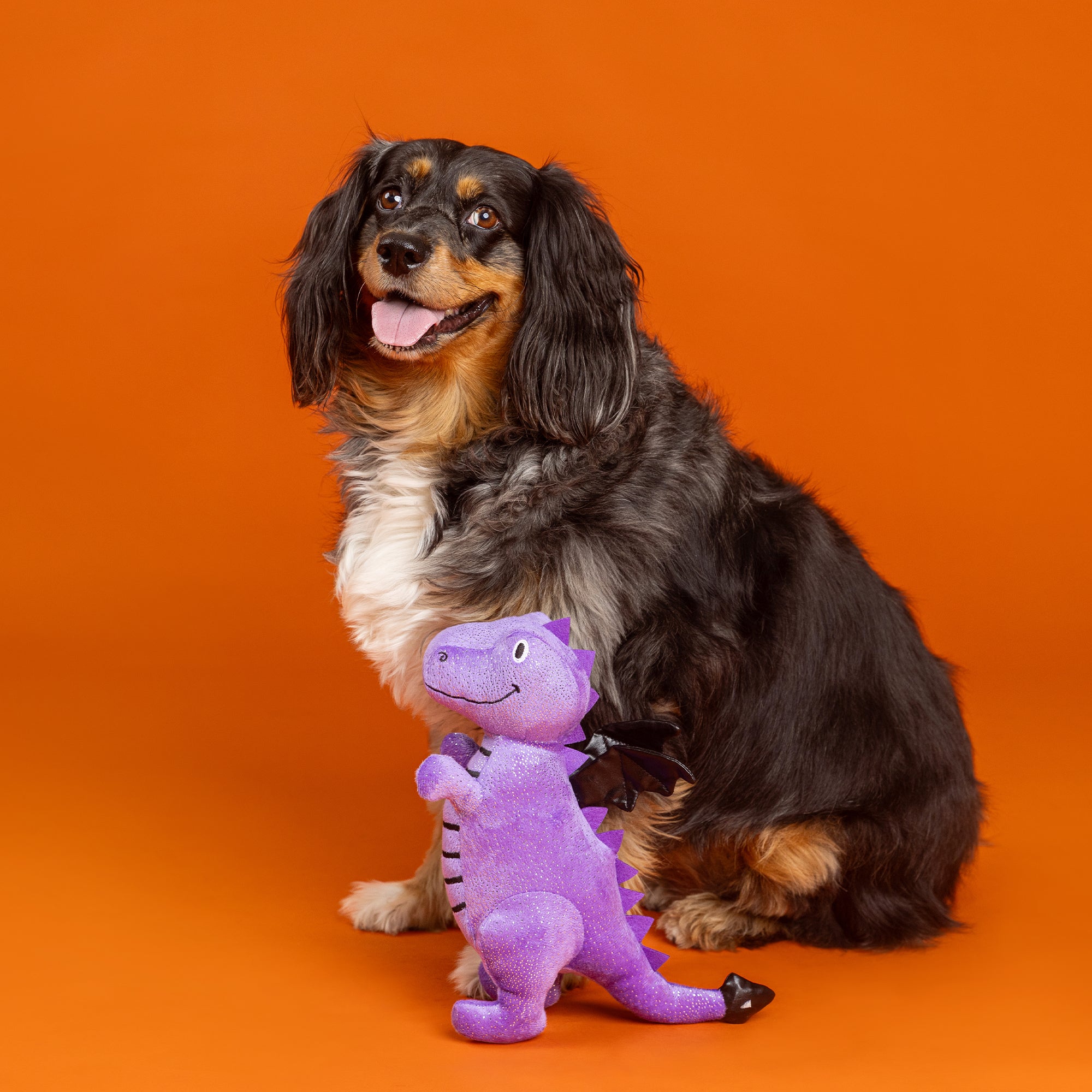PetShop by Fringe Studio Dont Be A Drag On Plush Dog Oty