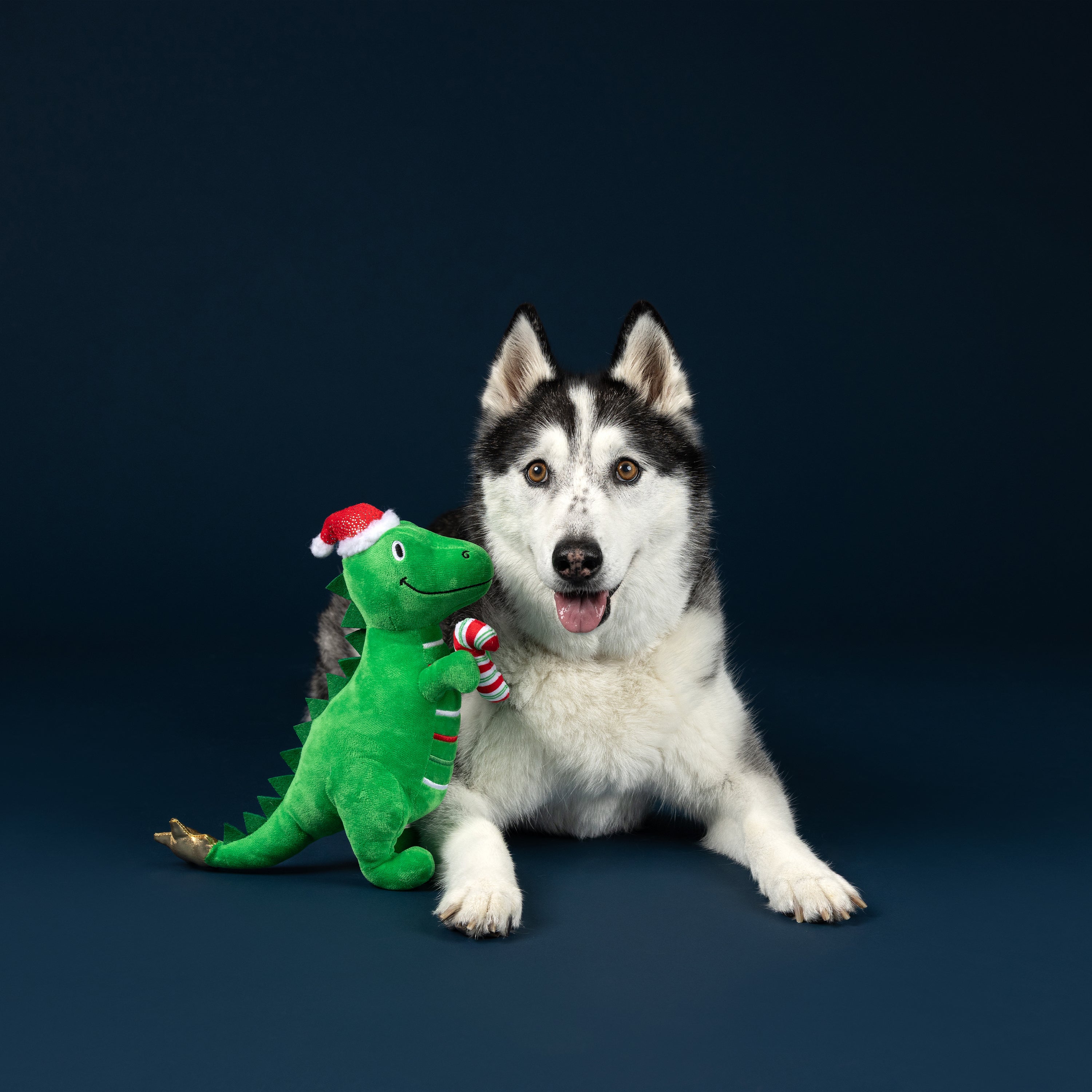 PetShop by Fringe Studio Rex-Mas Is Here! Plush Dog Toy