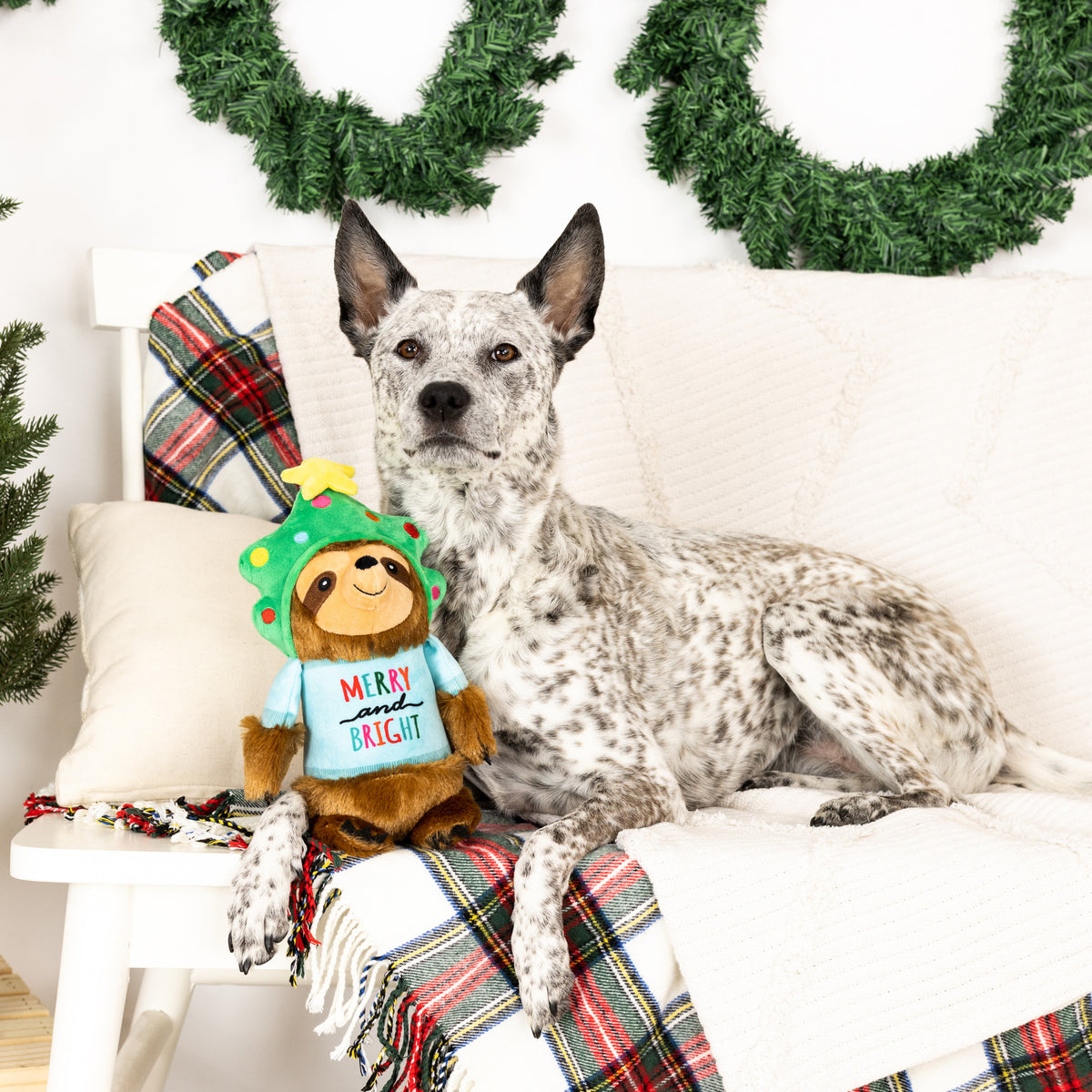 PetShop by Fringe Studio Turn On The Fun Plush Dog Toy