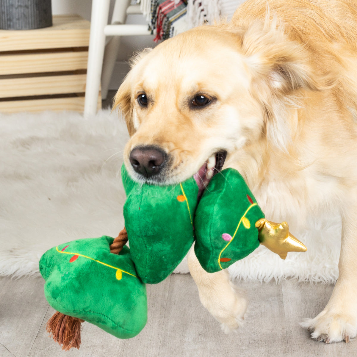 PetShop by Fringe Studio Light Me Up Plush Dog Toy