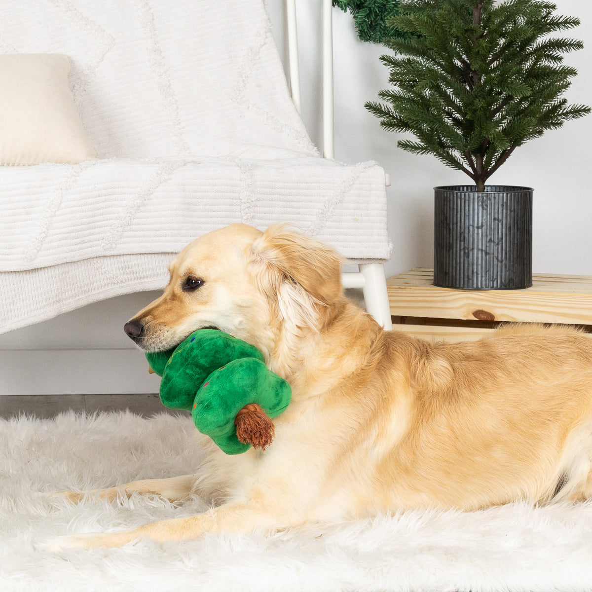 PetShop by Fringe Studio Light Me Up Plush Dog Toy