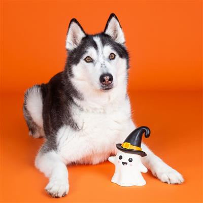 PetShop by Fringe Studio One Wicked Ghost Dog Chew Toy