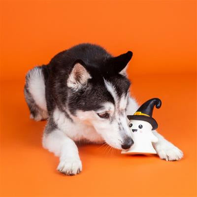 PetShop by Fringe Studio One Wicked Ghost Dog Chew Toy