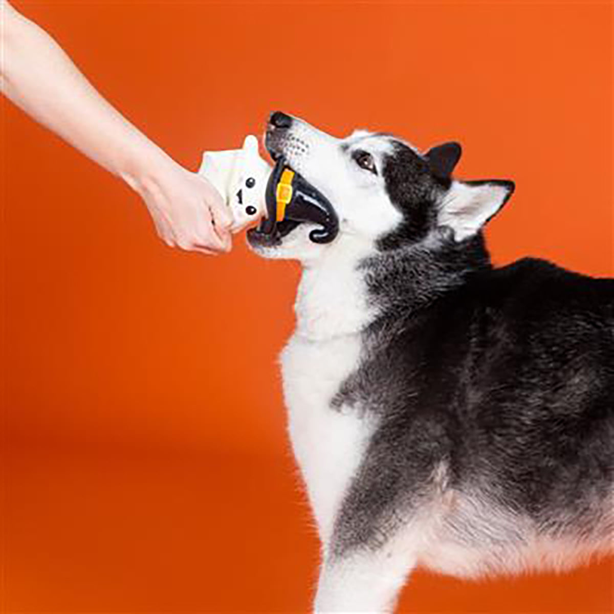 PetShop by Fringe Studio One Wicked Ghost Dog Chew Toy