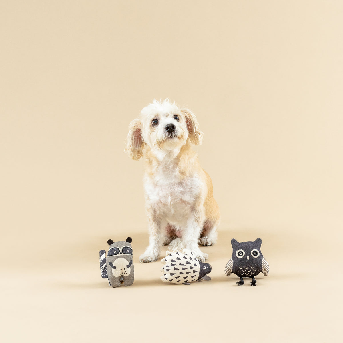 PetShop by Fringe Studio Wild Ones Canvas Mini Toy Set 3pc