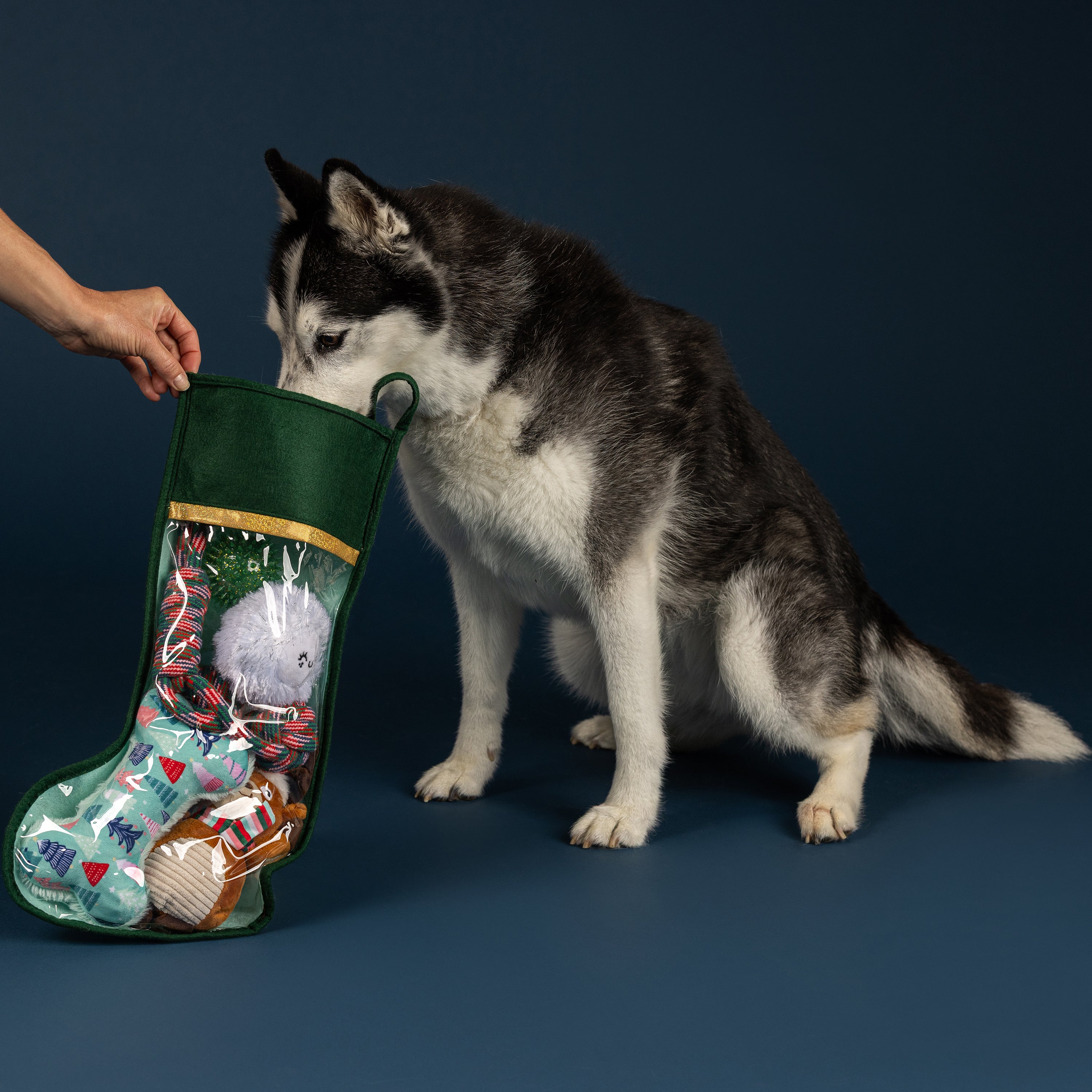 PetShop by Fringe Studio Happy Pawlidays Dog Toy Stocking